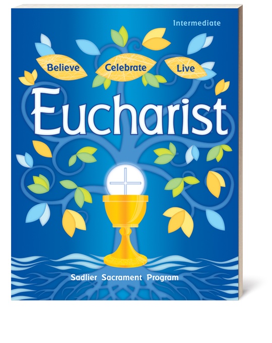 Religion bcl reconciliation eucharist intermediate