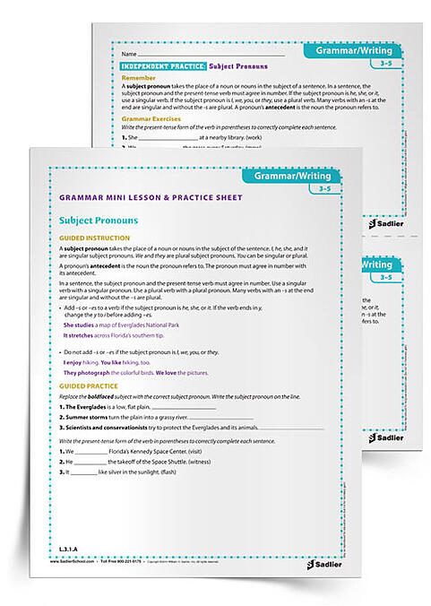 It is important for students to understand how the proper use of a pronoun will clarify to readers what noun the writer is talking about. Use the Subject Pronouns Grammar Worksheets, to review subject pronouns, pronoun antecedents, and present-tense verbs!