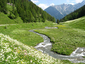 Summertime-Spirituality-Catholic-Blog