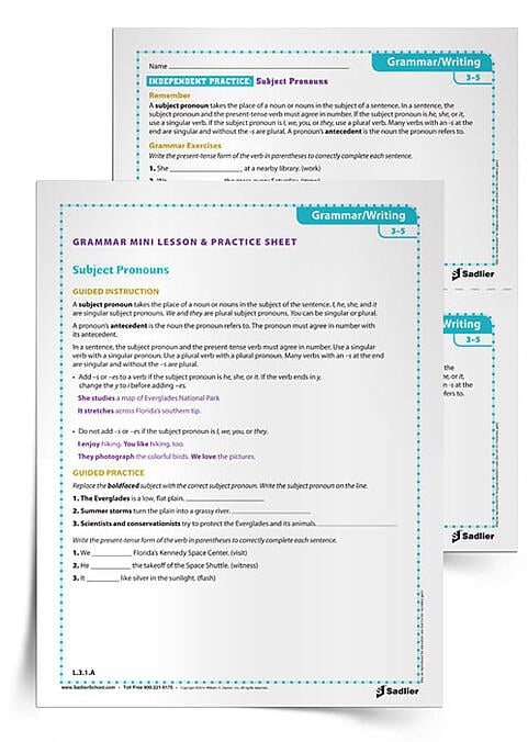 It is important for students to understand how the proper use of a pronoun will clarify to readers what noun the writer is talking about. Use the Subject Pronouns Grammar Worksheets, to review subject pronouns, pronoun antecedents, and present-tense verbs!