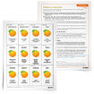 Schillen-aan-schillen-Vocabulaire-Game_thumb_350px