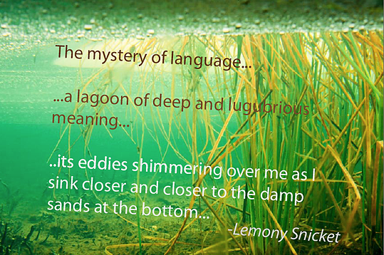 Daniel-Handler-Author