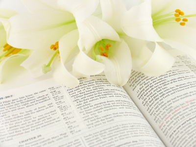 Celebrating-Holy-Week-Catholic-Resources