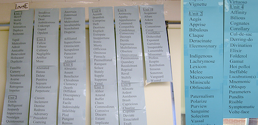 A vocabulary word wall is an amazing teaching tool. The word wall will ensure your students are never at loss for words! 