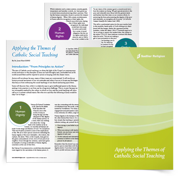Applying the Themes of Catholic Social Teaching eBook