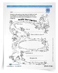 <em>Renew Your Baptism</em> Activity