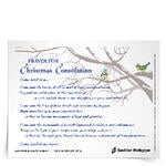 <em>Prayer for Christmas Consolation</em> Prayer Card