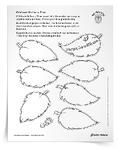 <em>Celebrate Ordinary Time</em> Activity