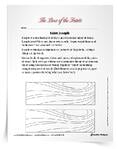 <em>Saint Joseph</em> Activity