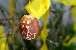 Pascual