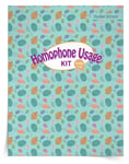 <em>Homophone Usage</em> Kit