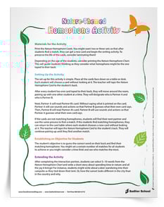 homophone activities printables