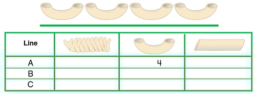 using-standard-and-nonstandard-measuring-tools-pieces-of-pasta-record-in-table