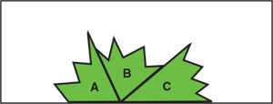 using-paper-figures-to-find-the-sum-of-the-measure-of-angles-align-to-form-straight-line