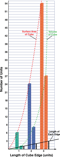 bar-graph-model-for-length-area-volume-surface-area-and-volume-of-cube-length-of-each-edge