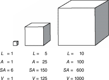 bar-graph-model-for-length-area-volume-draw-a-cube