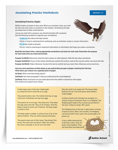 Close Reading Worksheet – Annotating Practice for Grades 1-3