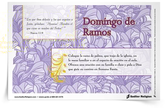 Para participar más plenamente en este tiempo sagrado, descargue las Tarjetas de reflexión de Semana Santa y compártalas con los miembros de su familia o parroquia.