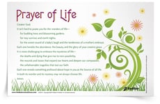 <em>Prayer of Life</em> Prayer Card