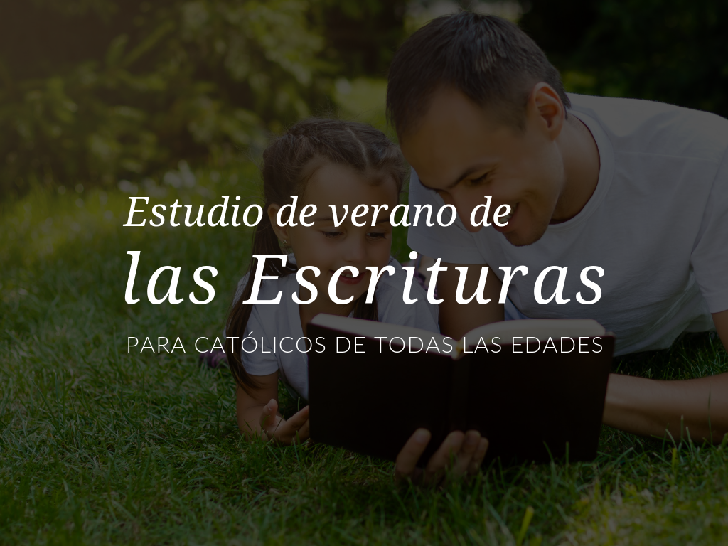estudio-de-verano-de-las-escrituras-para-catolicos