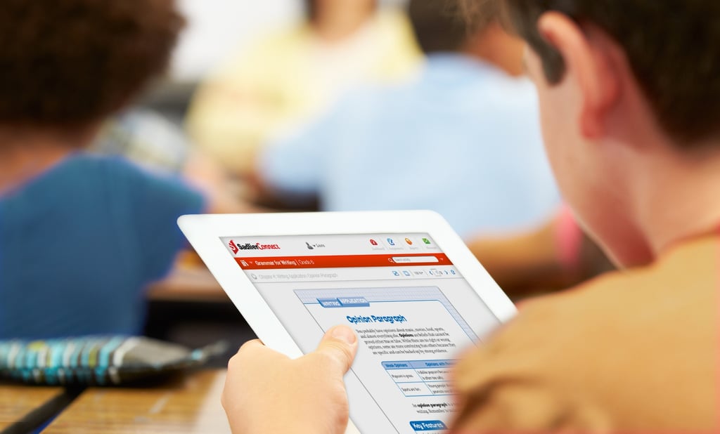 Remember, vocabulary instruction is not simply limited to the realm of the English teacher; all instructors, from elementary school through college, are responsible for teaching their students the vocabulary of their subject areas. The more words students have in their arsenals, the better they can communicate with others, no matter what their discipline.