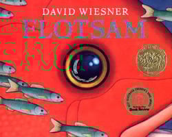 flotsam-david-wiesner-zoom-in-thinking-routine