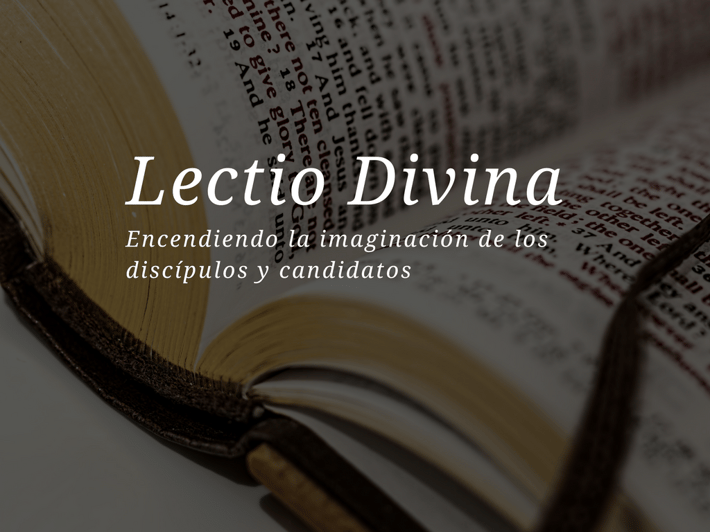 Lectio divina para jovenes- La lectio divina y visio divina son prácticas espirituales que nos llevan más profundamente en la oración y la reflexión sobre la Escritura. La frase en latín lectio divina puede traducirse como "lectura divina" y la frase visio divina como "visión divina". lectio-divina-para-jovenes