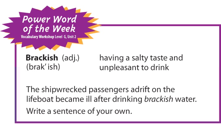 One way teachers can build a word-rich environment in the classroom is by spotlighting a weekly vocabulary word. Use my vocabulary Power Word of the Week to ensure vocabulary instruction occurs daily in your classroom!