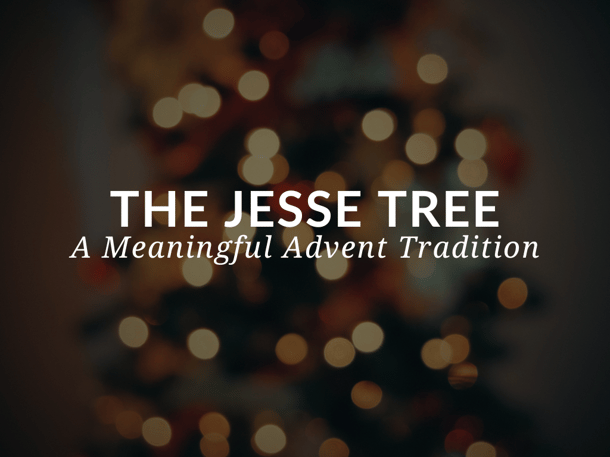 Sadlier Religion Blog Title Image_The Jesse Tree A Meaningful Advent Tradition