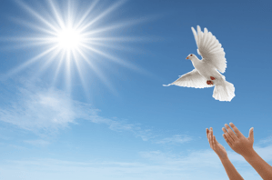 cultivating-the-gifts-of-the-holy-spirit.png