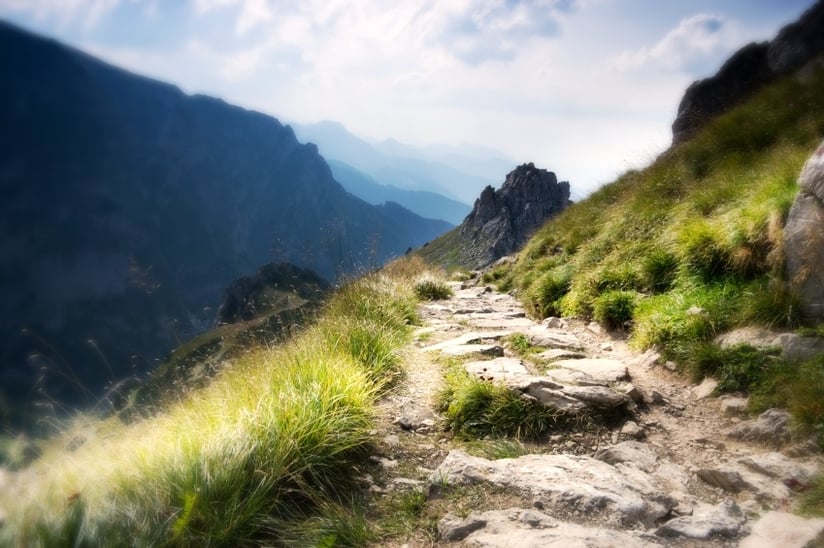 psalm-23-reflection-surely-goodness-and-mercy-will-follow-me