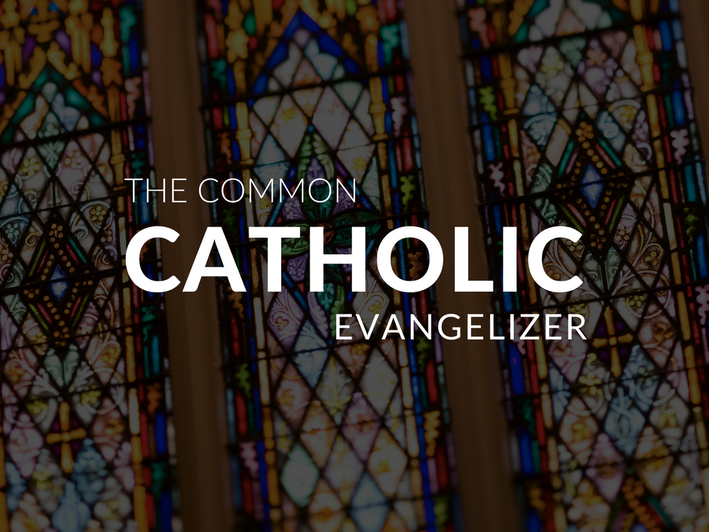 Download a Evangelization Resource Kit for your Catholic school or parish! 