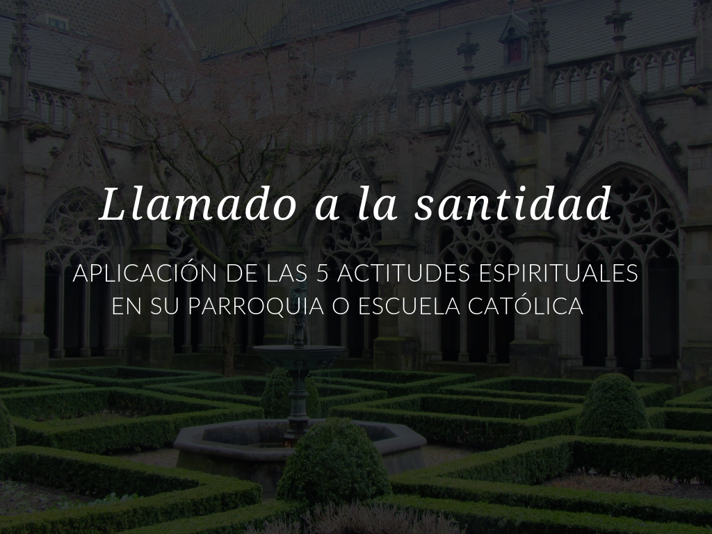 Aquí encontrará algunas sugerencias para aplicar a su ministerio de catequesis parroquial o de escuela católica las cinco actitudes espirituales nombradas en Gaudete et Exsultate (Alégrense y Regocíjense).