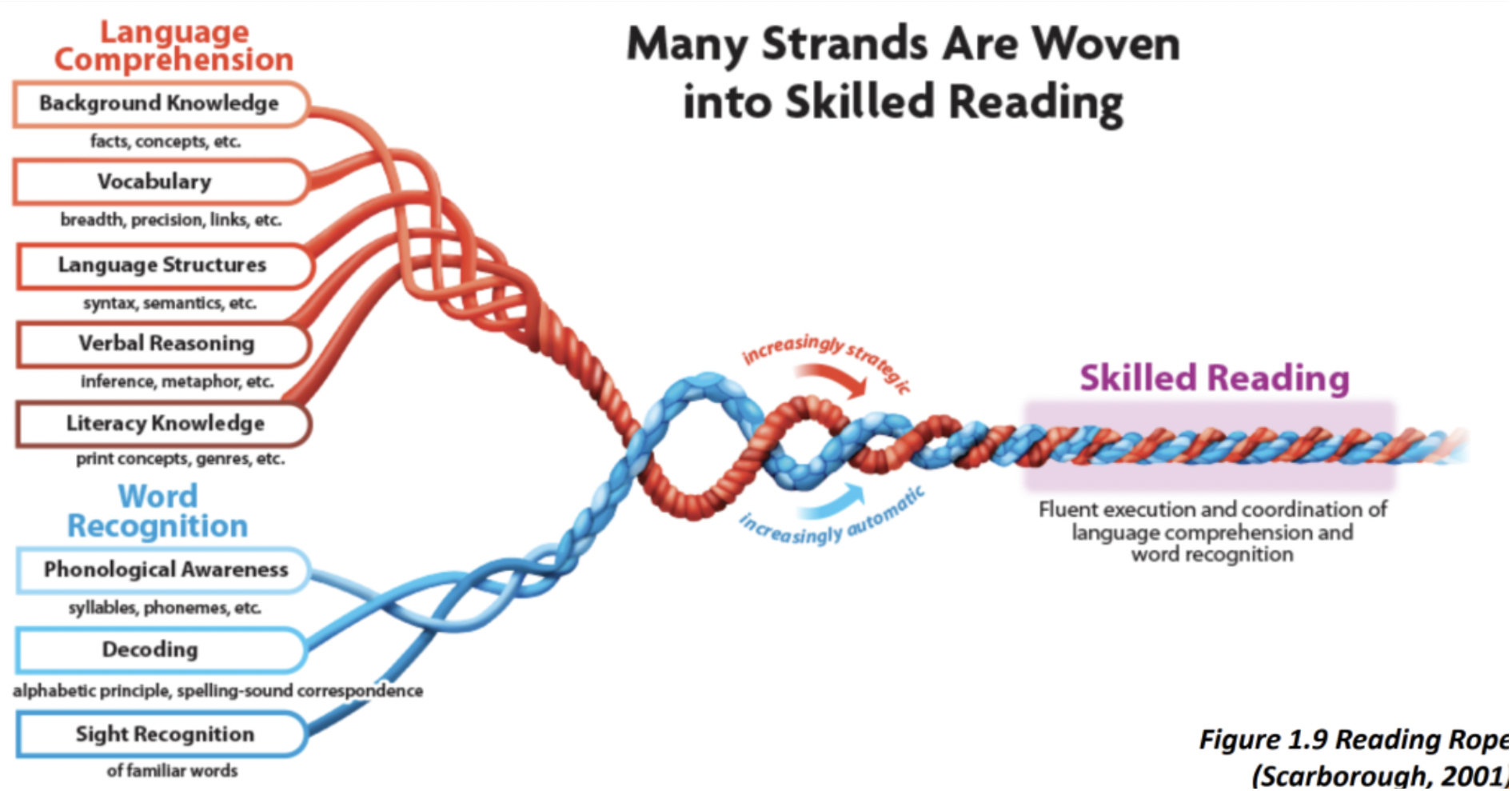 phonics-and-the-science-of-reading-scarborough-reading-rope