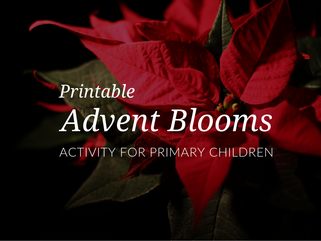 season-of-advent-activity-advent-bloom