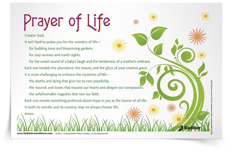 <em>Prayer for Life</em> Prayer Card