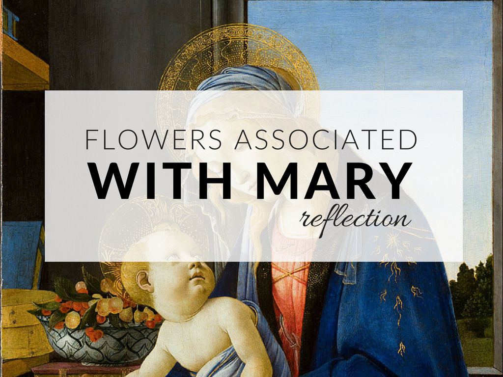 Flowers for the Blessed Mother